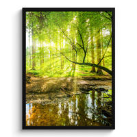 GERAHMTES BILD Wald - Landschaft - Wasser - Bäume - Sonne - Grün - Natur 60x80 cm - Grün, Papier (60/80cm) - MuchoWow