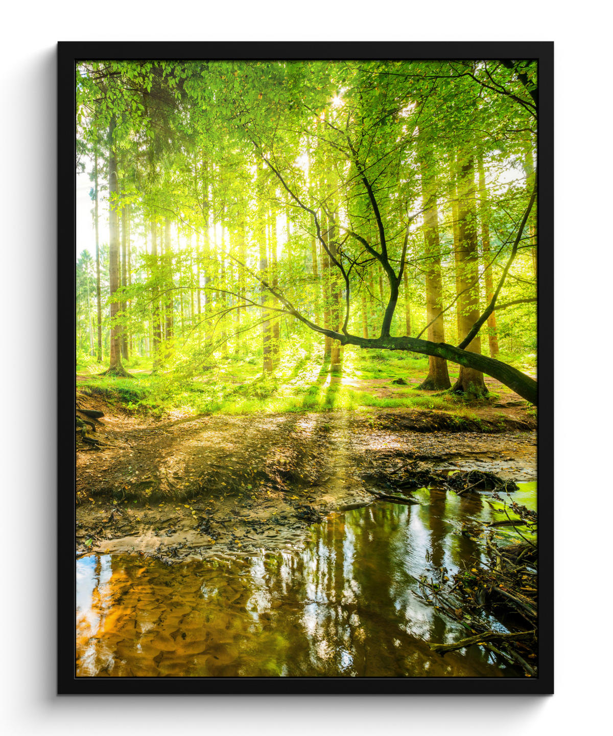 GERAHMTES BILD Wald - Landschaft - Wasser - Bäume - Sonne - Grün - Natur 60x80 cm - Grün, Papier (60/80cm) - MuchoWow