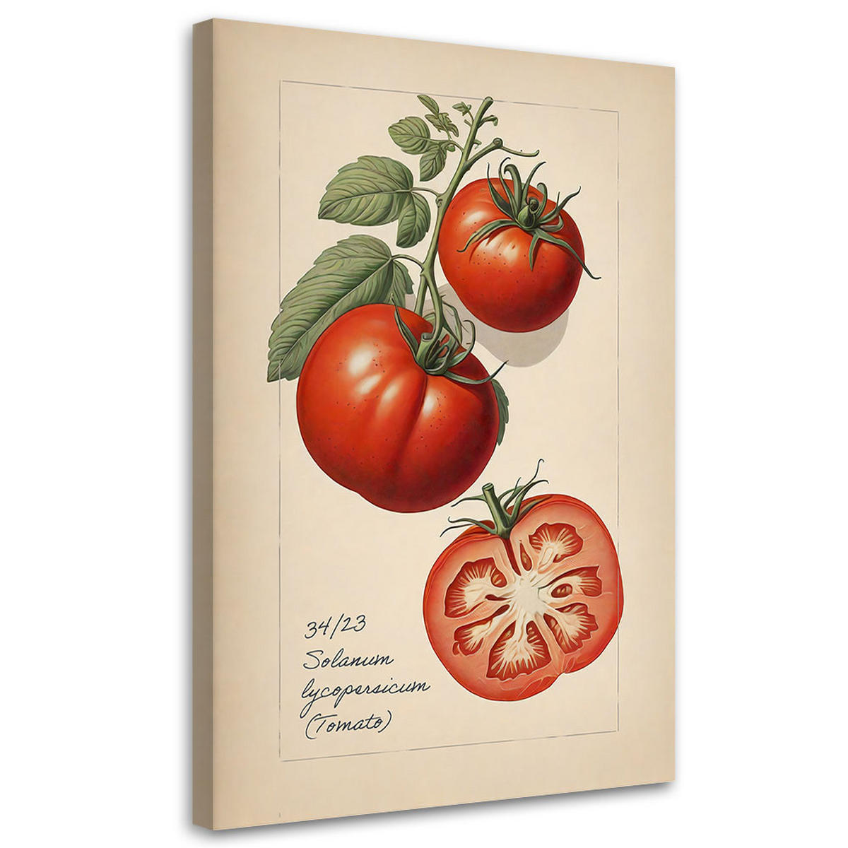 WANDBILD obst vintage tomate - Beige, Textil (40/60cm) - Feeby