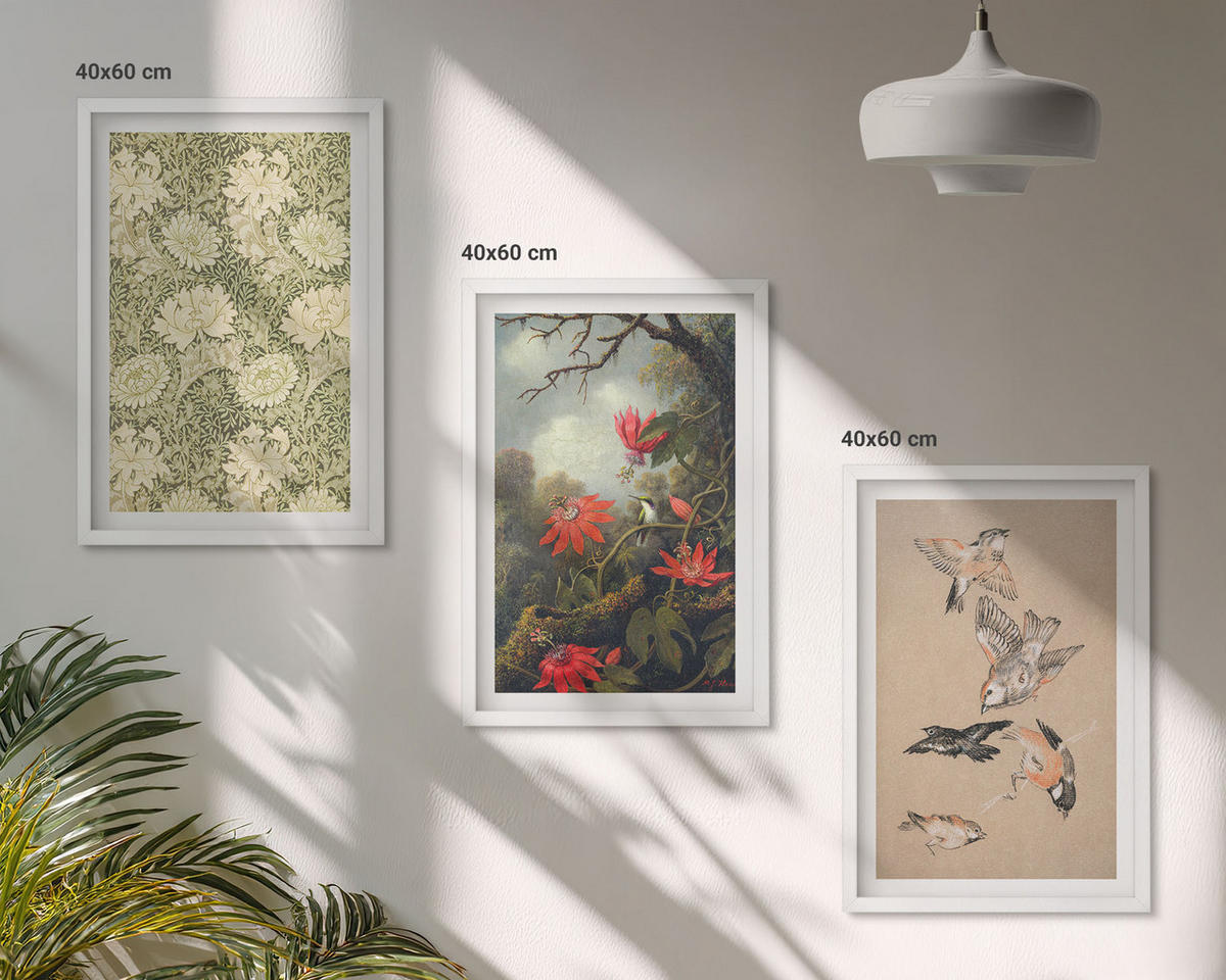WANDBILDER 3er-Set - 40x60 cm Weißer Rahmen - Blumen, Vögel, Natur - Weiß, Kunststoff (40/60cm) - ArtPrintCave