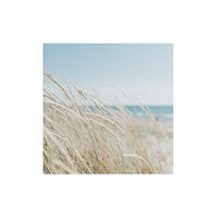 LEINWANDBILD Strand 50x50cm - Blau/Beige, Textil (50/1cm) - Art for the Home