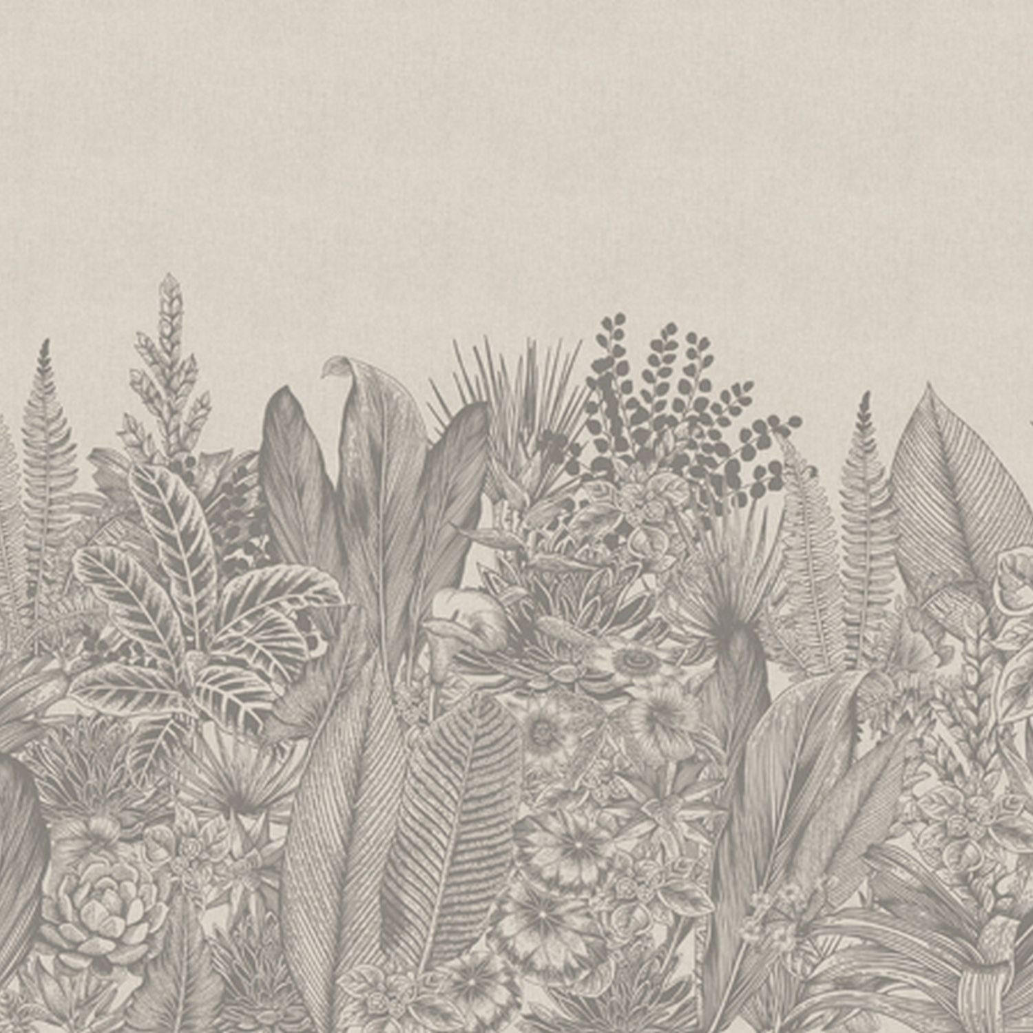 FOTOTAPETE Palmblätter 424 x 280 cm - Beige, Papier (424/280cm) - Sanders & Sanders