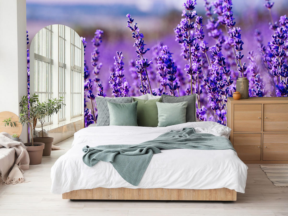 FOTOTAPETE für Schlafzimmer Lavendelfeld Blüten Provence 350x256 - Violett, Papier (350/256cm) - Muralo