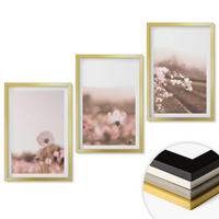 WANDBILDER 3er Set - 40x60 cm Goldrahmen - Sommerlandschaften mit Wildblumenwiesen - Goldfarben, Kunststoff (40/60cm) - ArtPrintCave