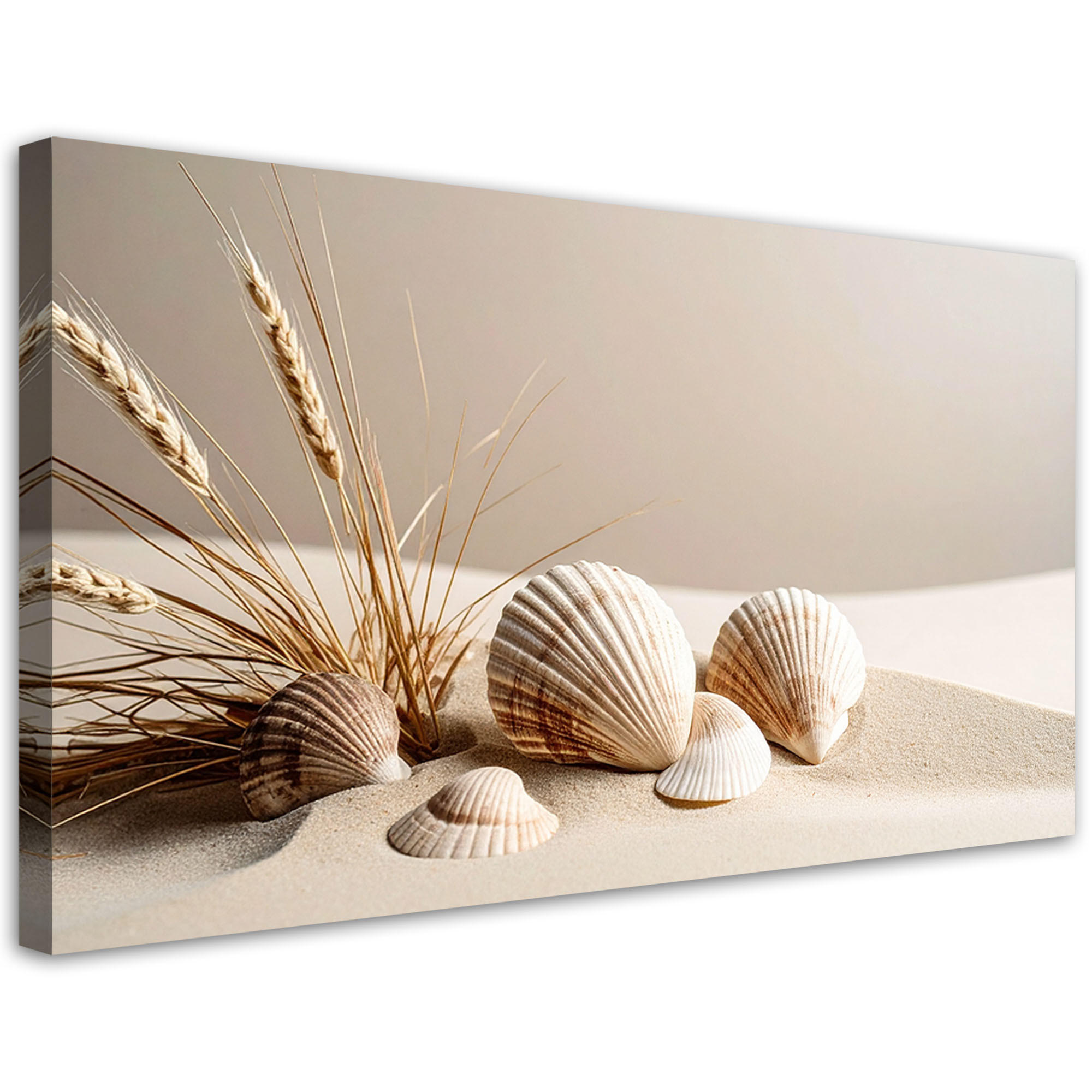 LEINWANDBILD Natur und Botanik 80x40cm - Beige, Textil (80/40cm) - Feeby