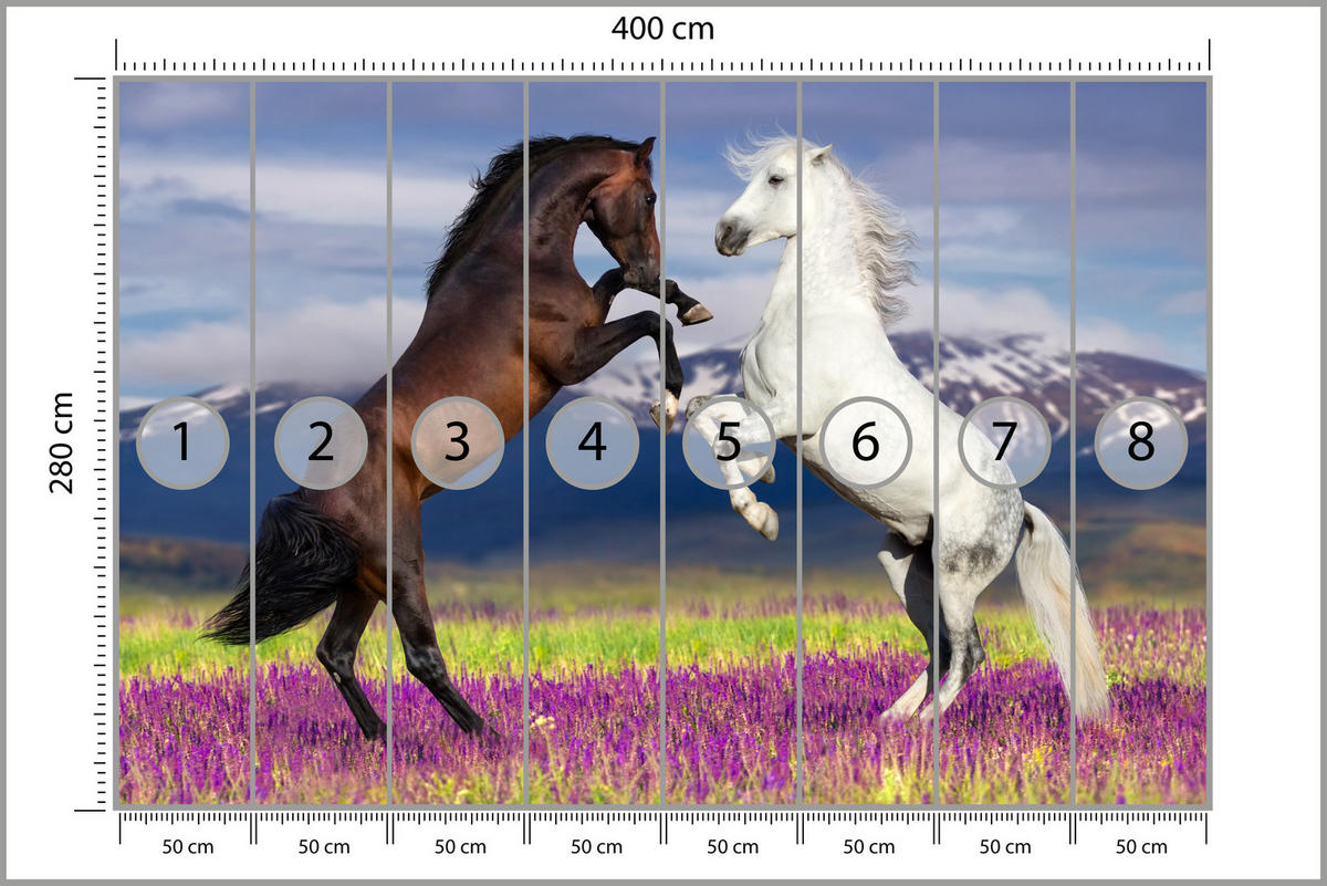 FOTOTAPETE für Esszimmer Pferde Lavendelfeld Berge Provence 400x280 - Beige/Violett, Papier (400/280cm) - Muralo