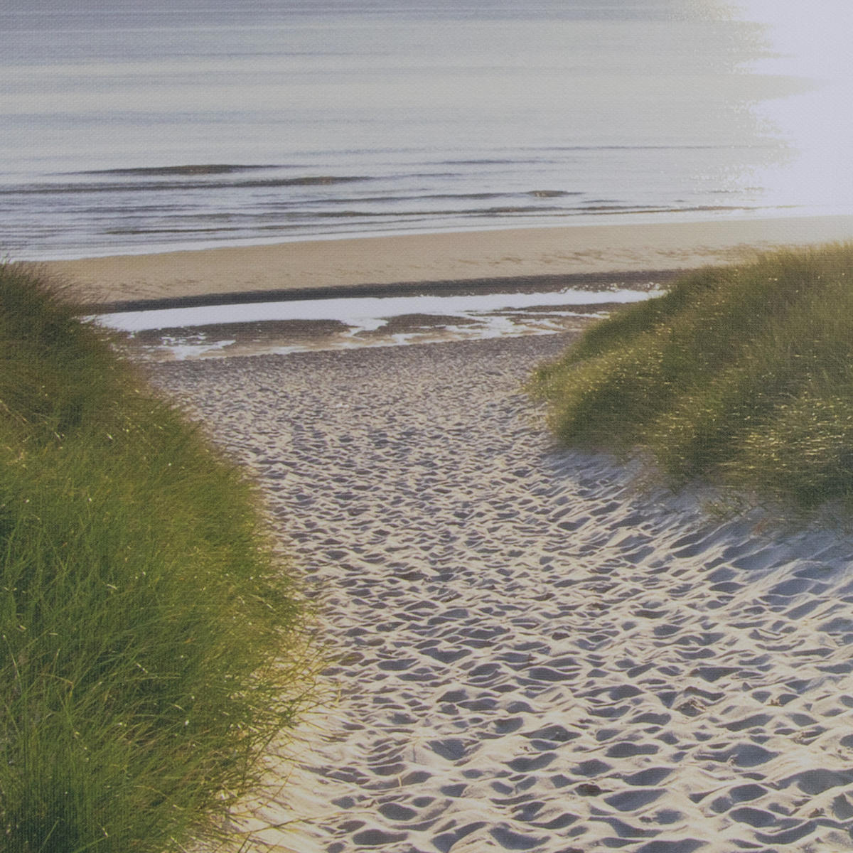 LEINWANDBILD Strandspaziergang Sonnenaufgang 50x70cm - Braun/Grün, Textil (50/1cm) - Art for the Home