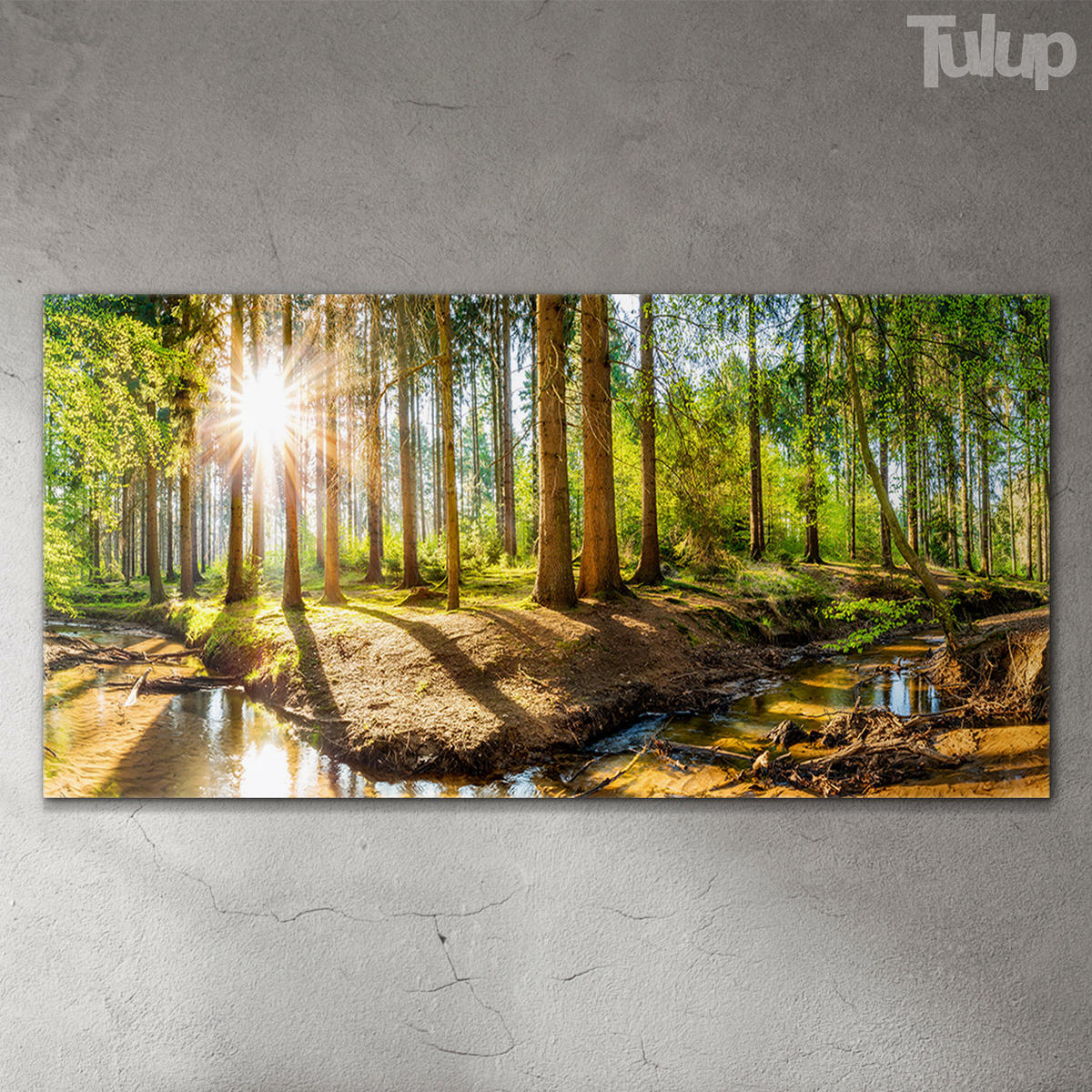 GLASBILD 120x60 cm Landschaftspanorama - Waldgrün, Glas (120/60cm) - TULUP