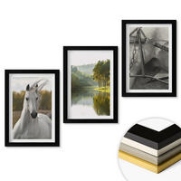 WANDBILDER 3er-Set - 20x30 cm Schwarzer Rahmen - Natur des Flusses White Horses - Schwarz, Kunststoff (20/30cm) - ArtPrintCave