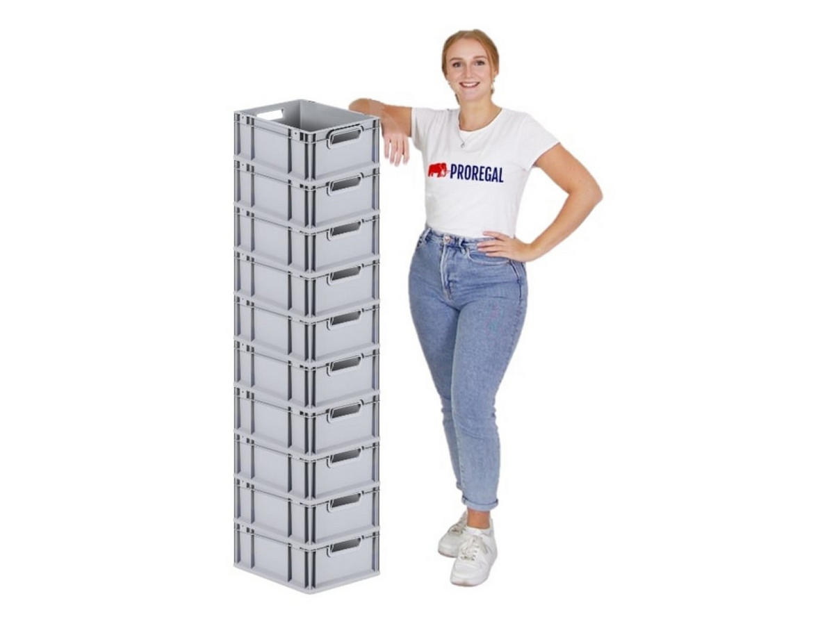 EUROBOX Nextgen Economy Griffe Offen 17x30x40cm 16 Liter - Grau, Kunststoff (30/17/40cm) - PROREGAL