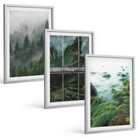 BILDER SET 3er Set - 40x60 cm Silberner Rahmen - Waldnebel, Flussufer, Gewächshaus - Silberfarben, Kunststoff (40/60cm) - TULUP