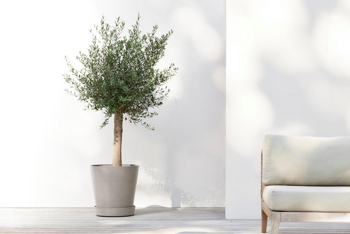 BLUMENTOPFUNTERSETZER mit Rädern 41,6/41,6/9 cm Taupe - Taupe, Kunststoff (41.6/9cm) - Ecopots