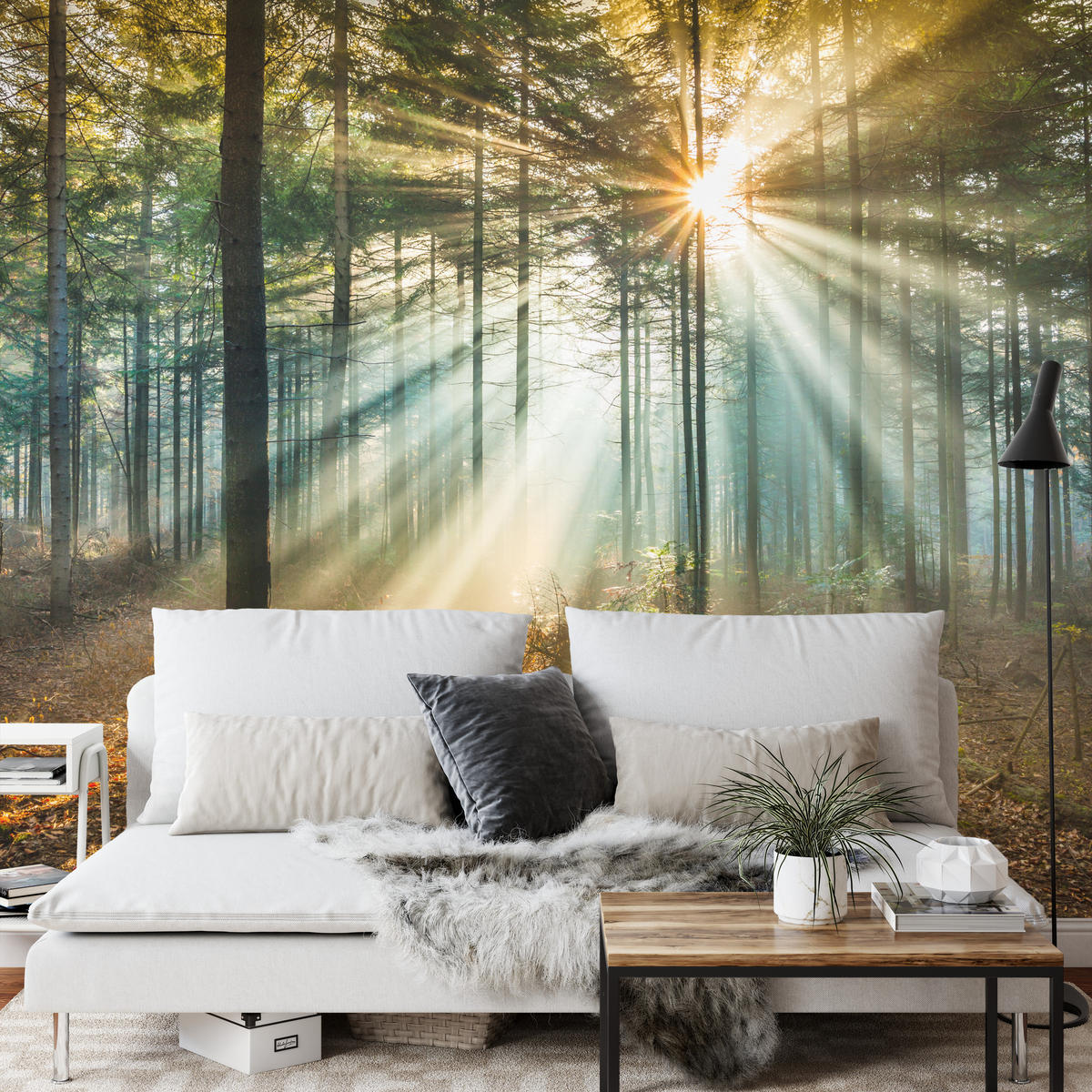 FOTOTAPETE für Wohnzimmer Herbstwald Sonnenuntergang Bäume Natur 500x350 - Beige/Gelb, Papier (500/350cm) - Muralo