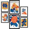 POSTER Set Mit 6 Blumen Leben In Orange Natur Und Botanikdrucke Für Innenarchitektur A3 & A4 Schwarzer Rahmen - Schwarz, Papier (29/3cm) - Nacnic