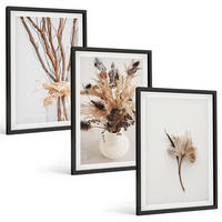 BILDER SET 3er Set - 40x60 cm Schwarzer Rahmen - Blumenzweige minimalistisch - Schwarz, Kunststoff (40/60cm) - TULUP
