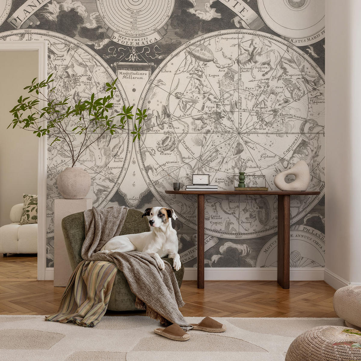 FOTOTAPETE 104x70 cm - Sternenkarte - Schwarz, Textil (104/70cm) - Wallfluent