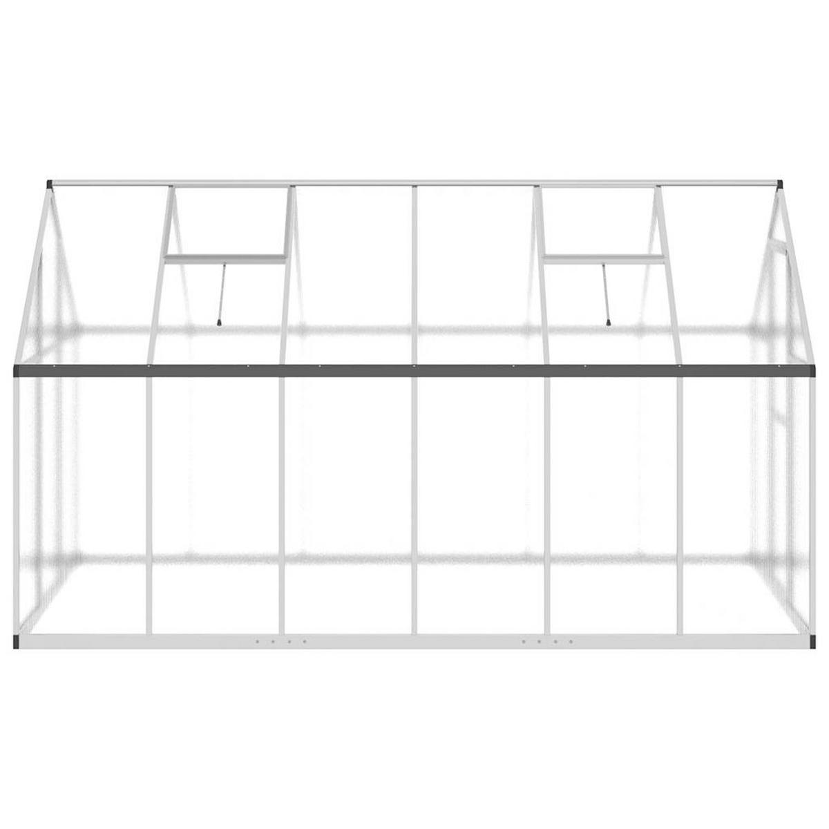 GEWÄCHSHAUS mit Fundamentrahmen Silber 334x169x195cm Aluminimum - Silberfarben, Metall (169/195/334cm)