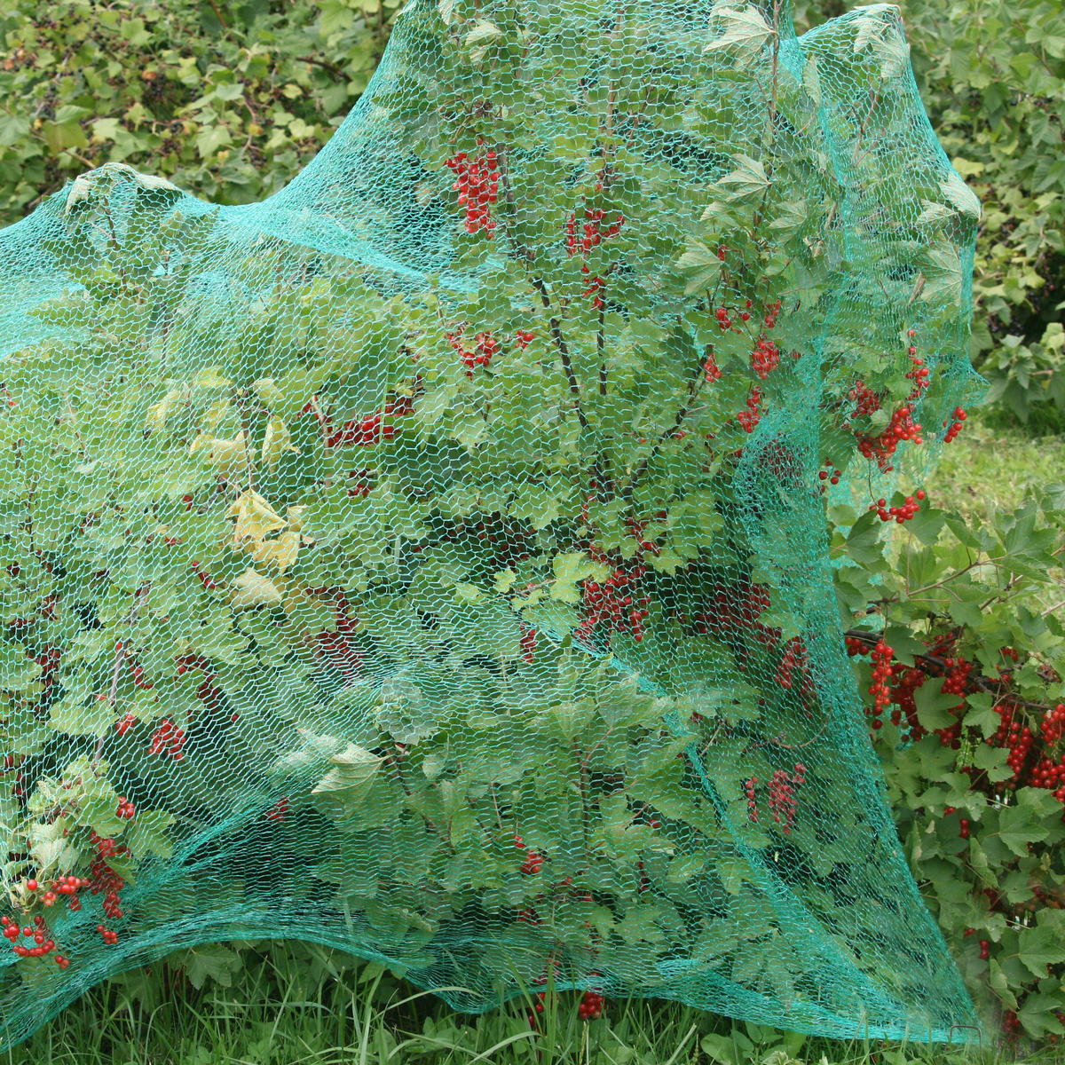 50XBODENANKER - Anthrazit, Metall (2.5/15/0.2cm) - Relaxdays