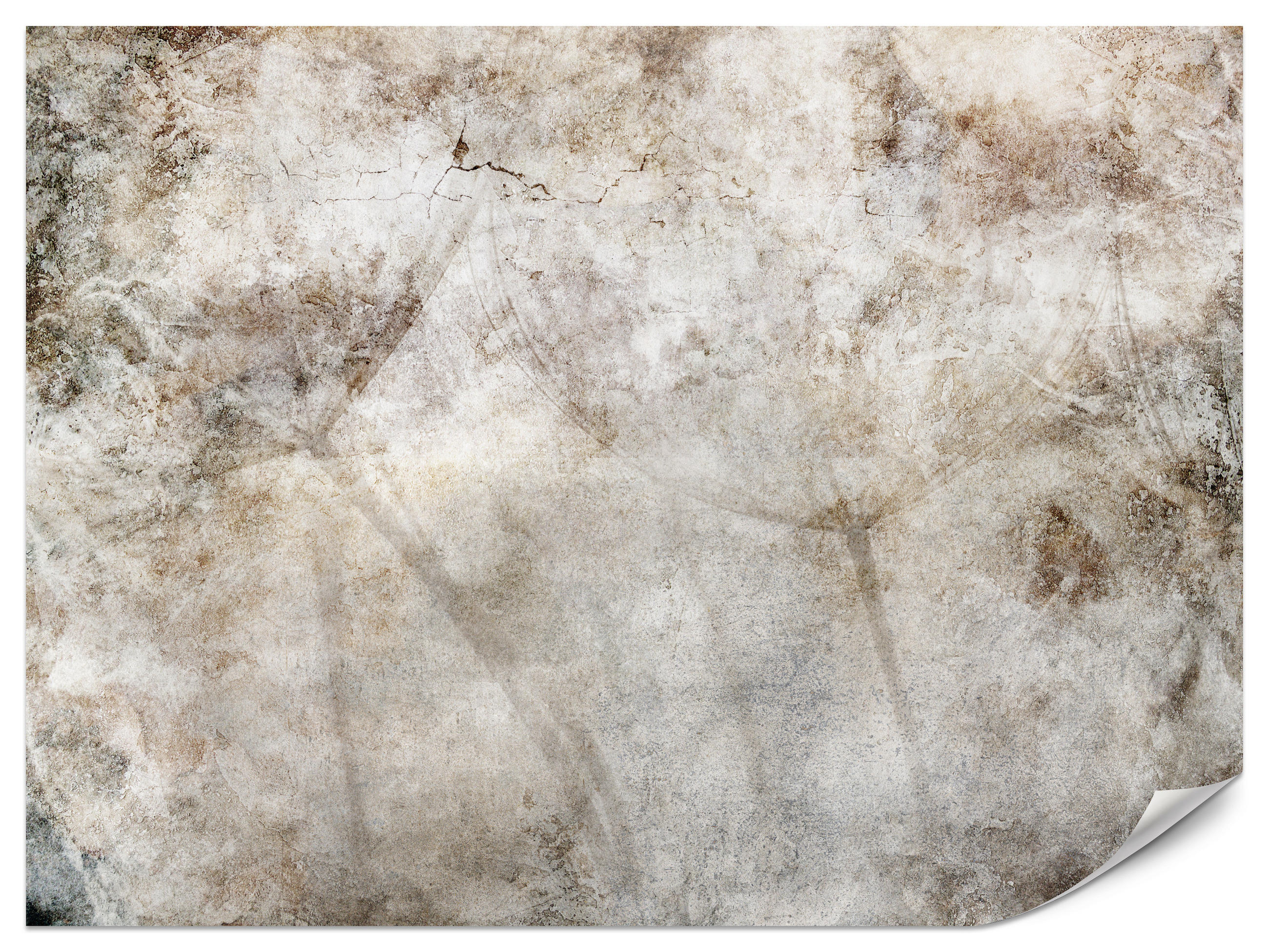 FOTOTAPETE für Schlafzimmer Abstraktion Löwenzahnsamen Beton Retro Beige 450x315 - Beige/Braun, Papier (450/315cm) - Muralo