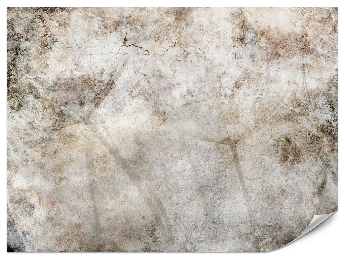 FOTOTAPETE für Schlafzimmer Abstraktion Löwenzahnsamen Beton Retro Beige 450x315 - Beige/Braun, Papier (450/315cm) - Muralo