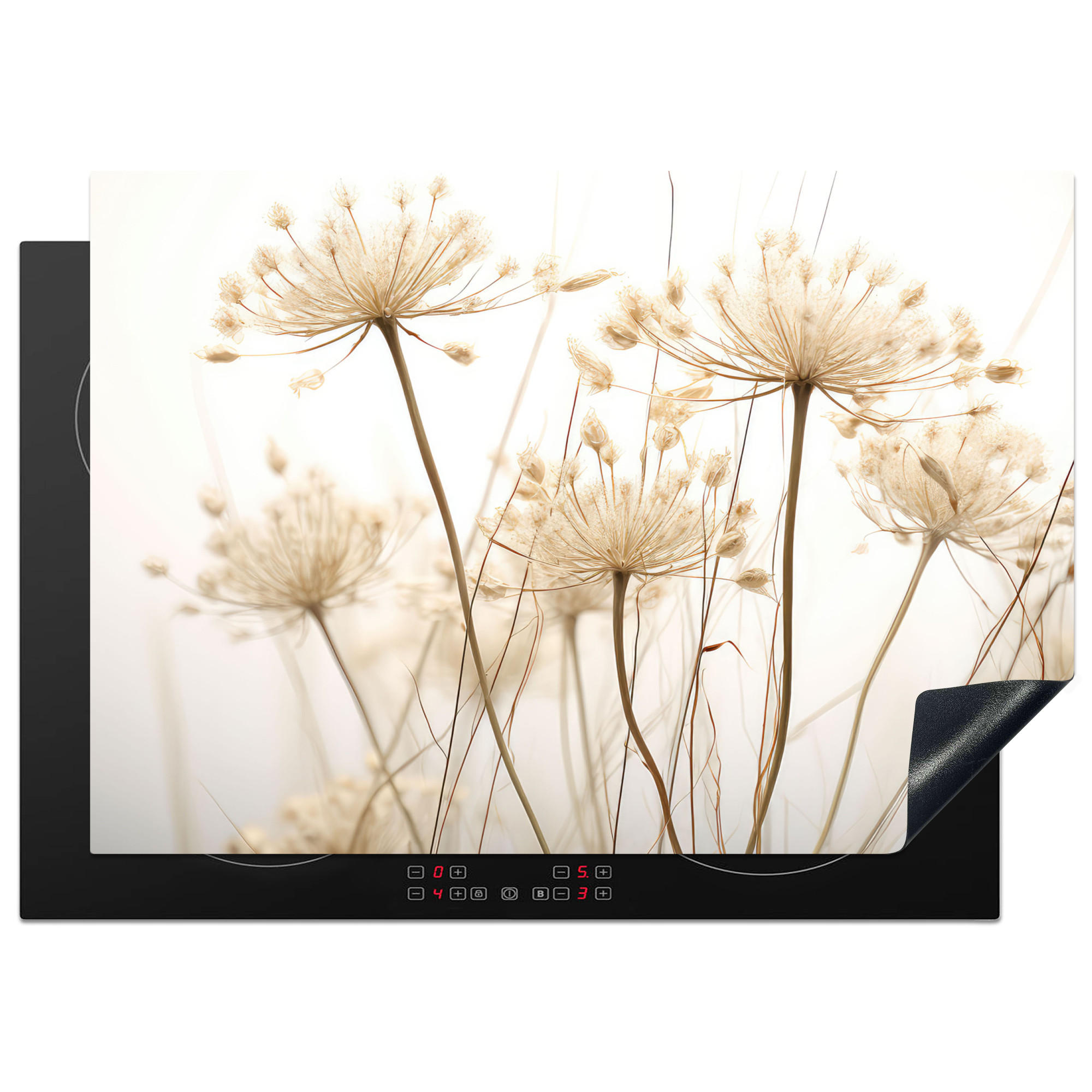 HERDABDECKPLATTE Blumen - Weiß - Sonnenlicht 75x52 cm - Ecru, Kunststoff (75/0.2/52cm) - MuchoWow