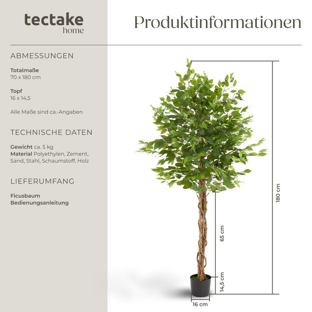 KÜNSTLICHER FICUSBAUM Fida, grün - Grün, Kunststoff (180cm) - tectake