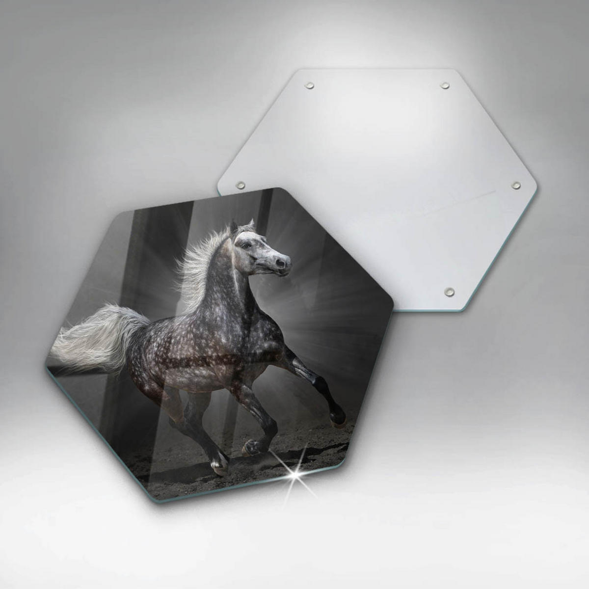 GLASPLATTE 40 cm Pferd im Galopp - Dunkelgrau, Glas (40/40cm) - Wallfluent