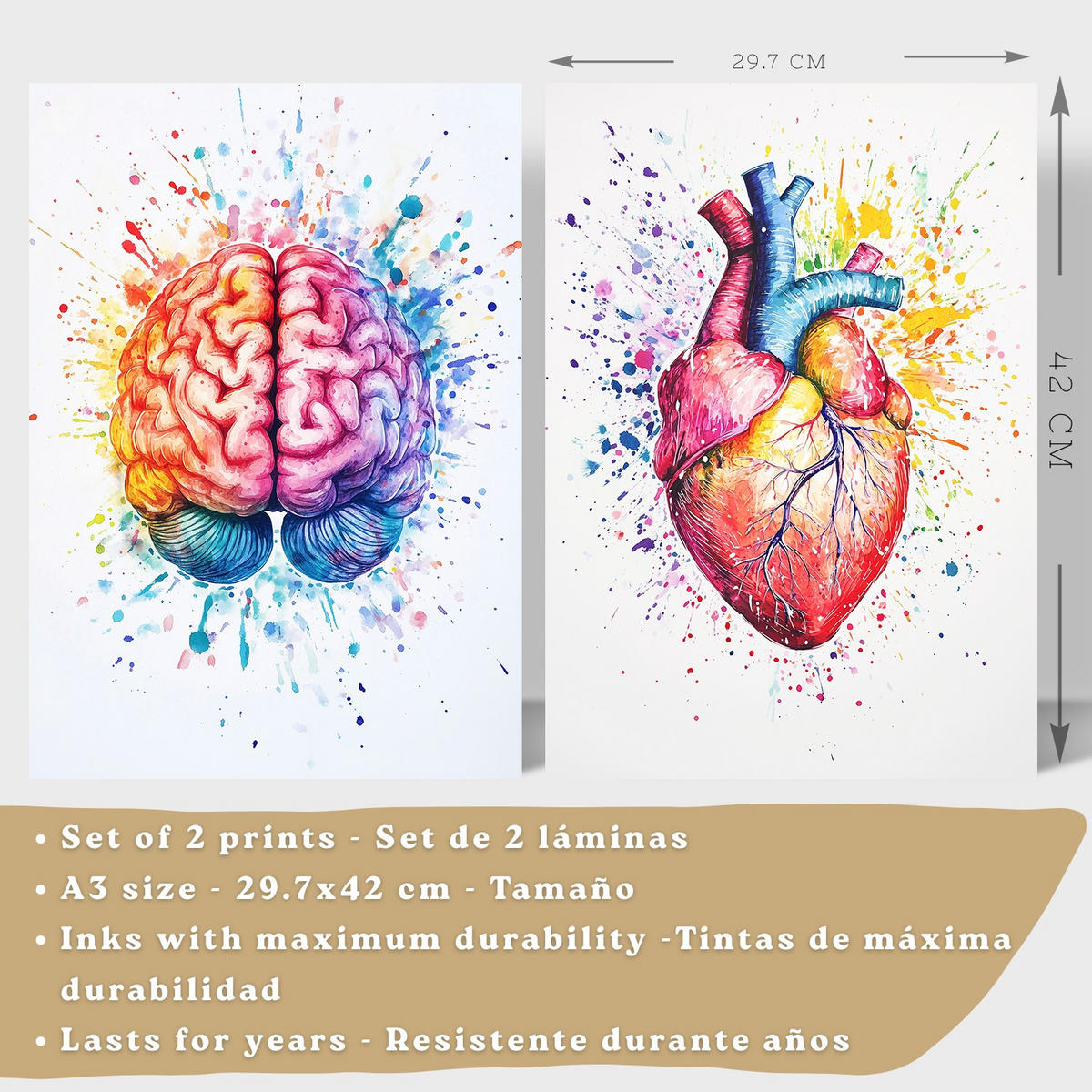 POSTER Set aus 2 Anatomie Drucke und Wandbilder mit Gehirn und Herz Künstlerische Mehrfarbig Aquarell Illustration Größe Weißer Rahmen A3 - Weiß, Papier (29.7/42/3cm) - Nacnic