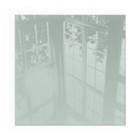 GLASPLATTE für Kamin 60x60 cm - Grün, Glas (60/60/0.4cm) - TULUP