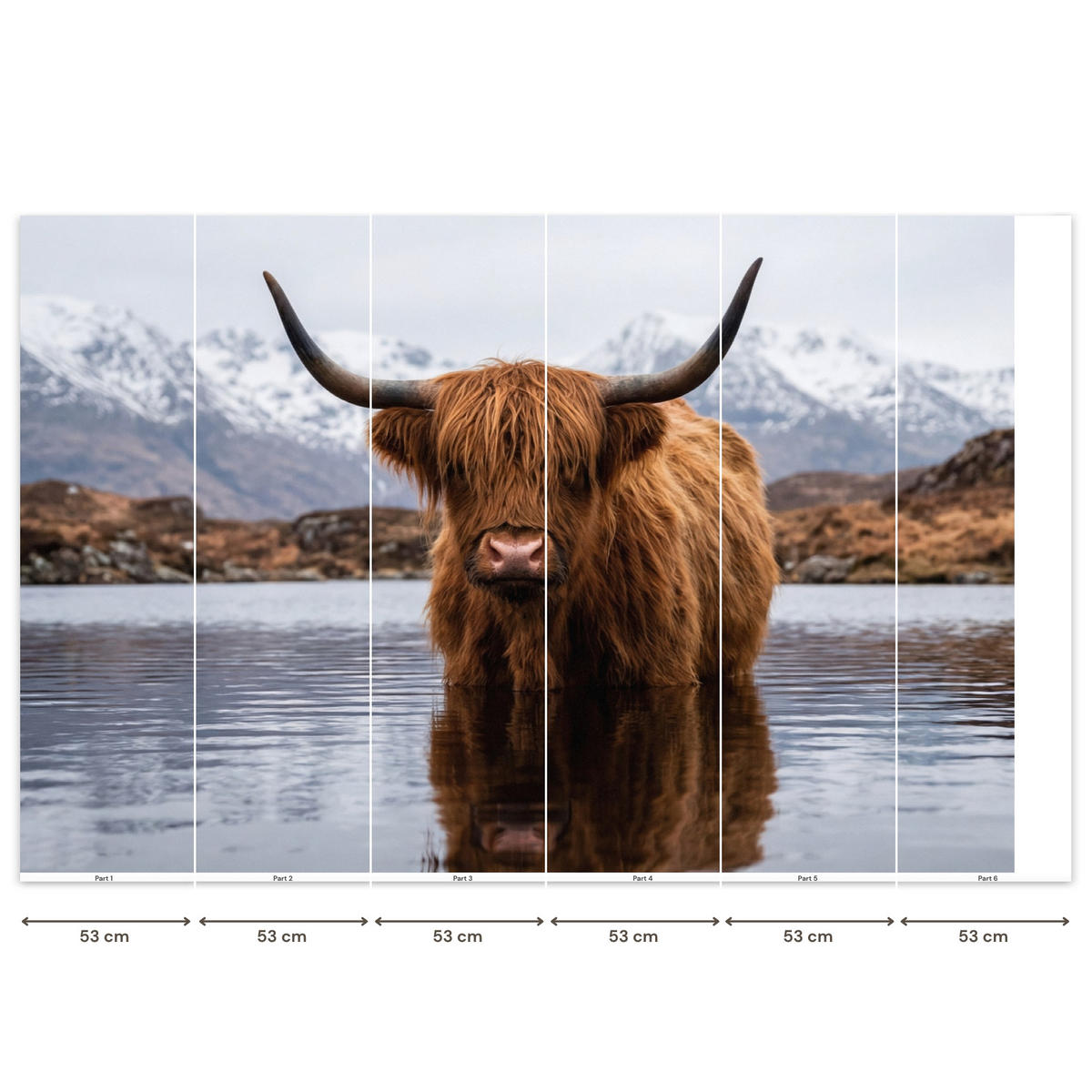 TAPETE - Schottischer Hochländer - Braun - Wasser - 350x220 cm - Braun, Papier (350/220cm) - OnlyWow