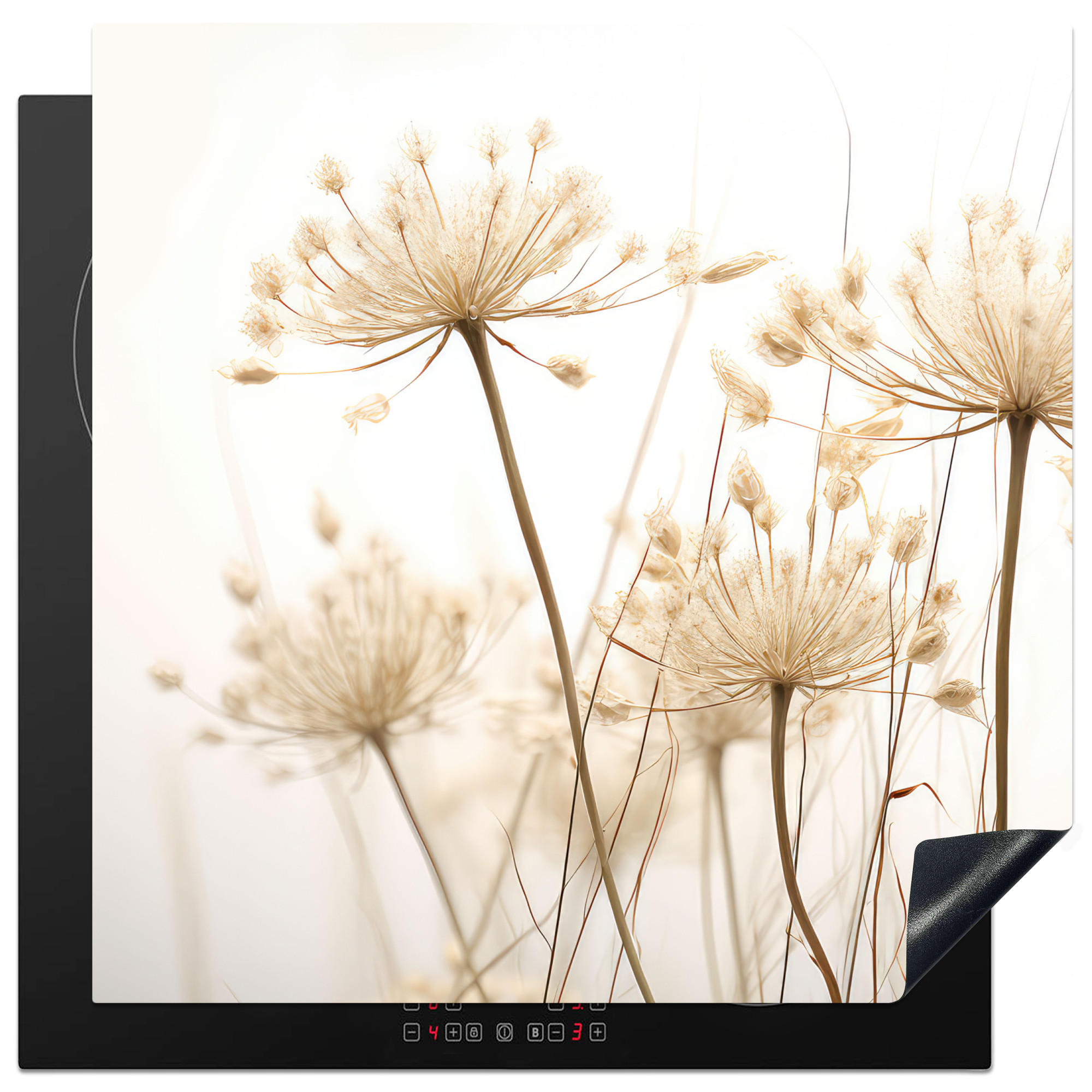 HERDABDECKPLATTE Blumen - Weiß - Sonnenlicht 78x78 cm - Ecru, Kunststoff (78/0.2/78cm) - MuchoWow