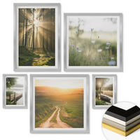 WANDBILDER 5er Set - 50x50 cm & 20x30 cm & 40x60 cm Silberner Rahmen - Gemalte Zitruslandschaften - Silberfarben, Kunststoff (40/60cm) - ArtPrintCave