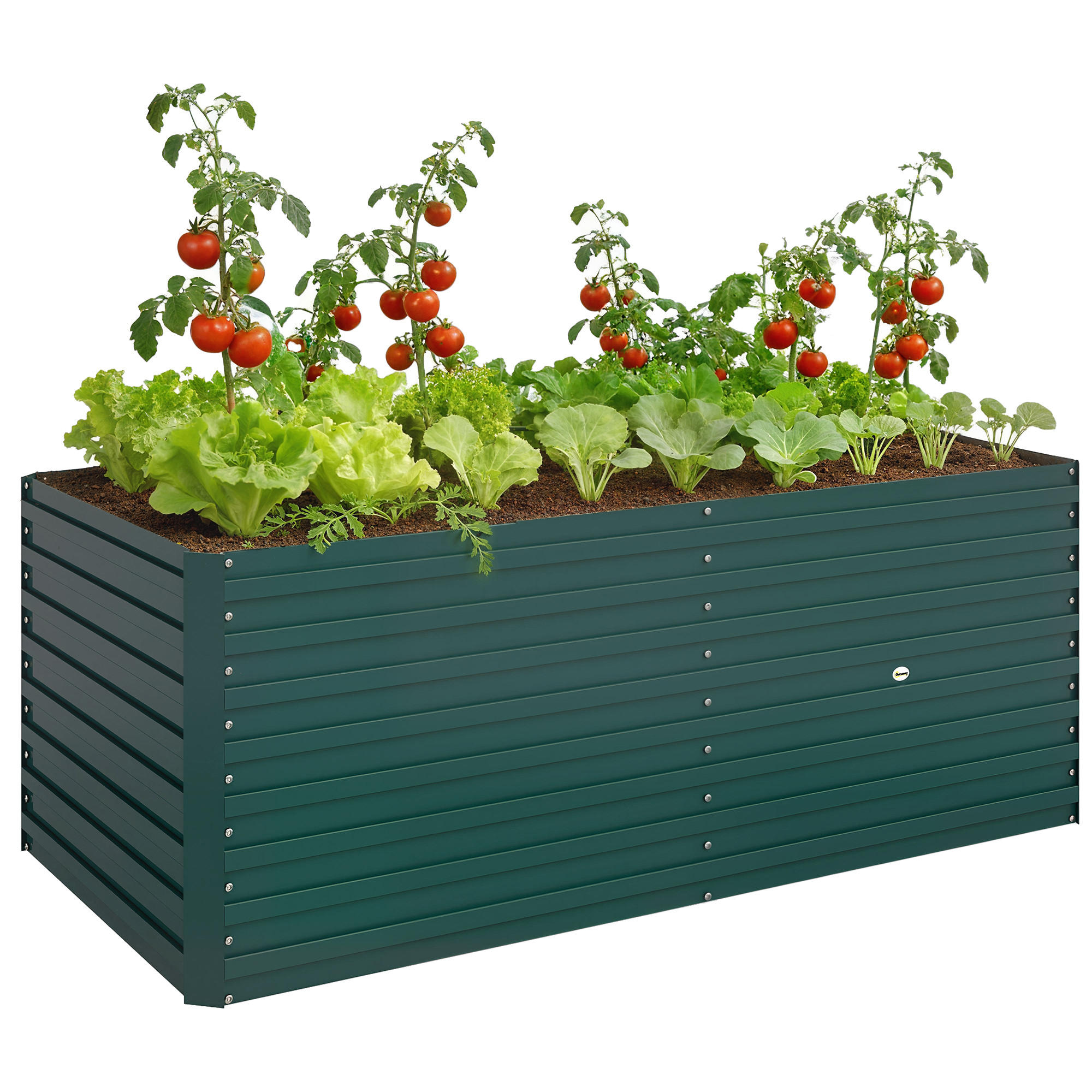 HOCHBEET DE-12309 e/tra tief 160/80/60 cm mit offenem Boden Grün - Grün, Metall (160/60/80cm) - ComfortXL