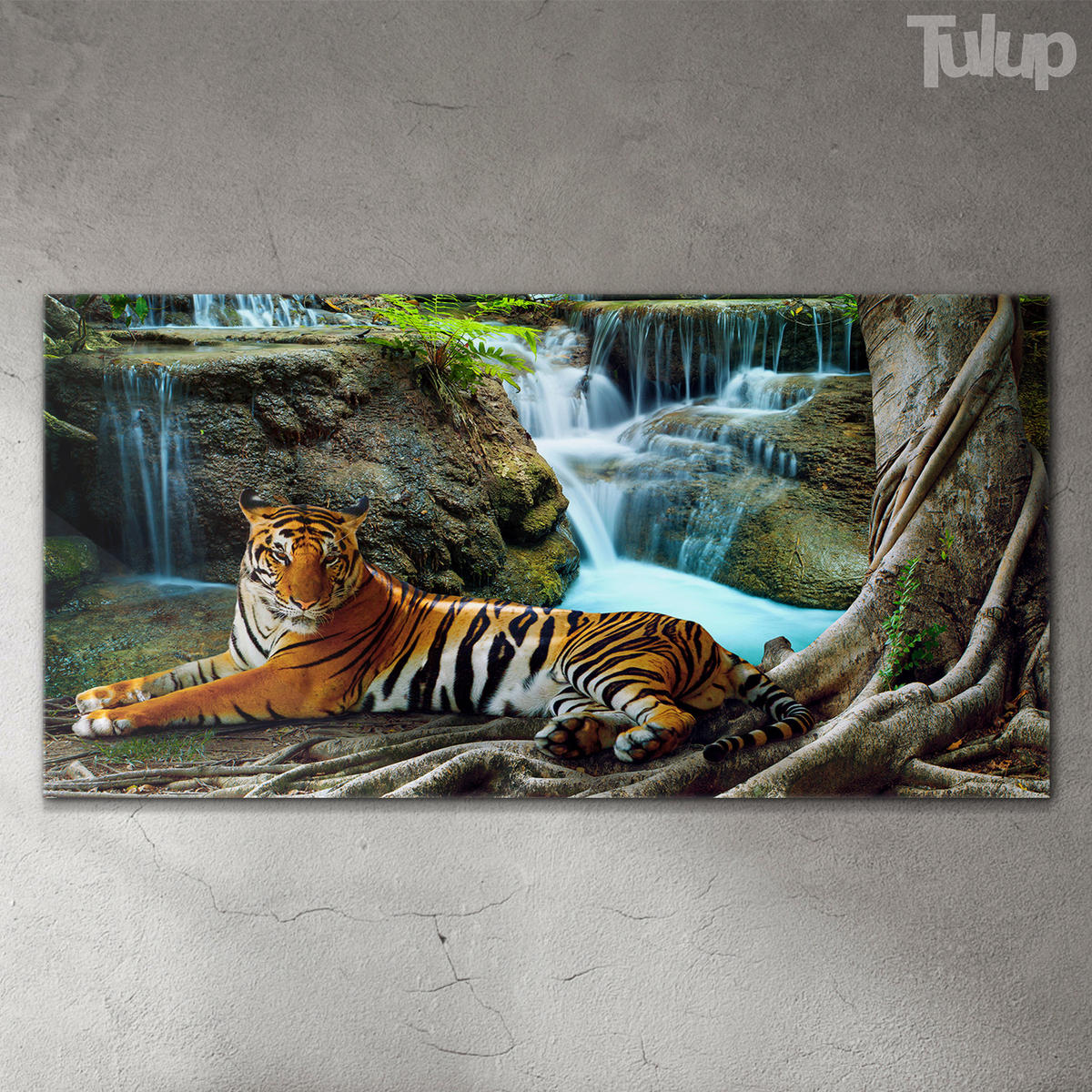 GLASBILD 120x60 cm Dschungelwasserfall - Naturfarben, Glas (120/60cm) - TULUP