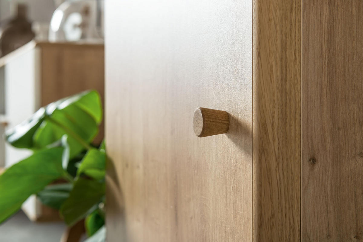 WOHNZIMMERSCHRANK NATURE - Eichefarben, Holzwerkstoff (51/208/40cm) - Vox Möbel