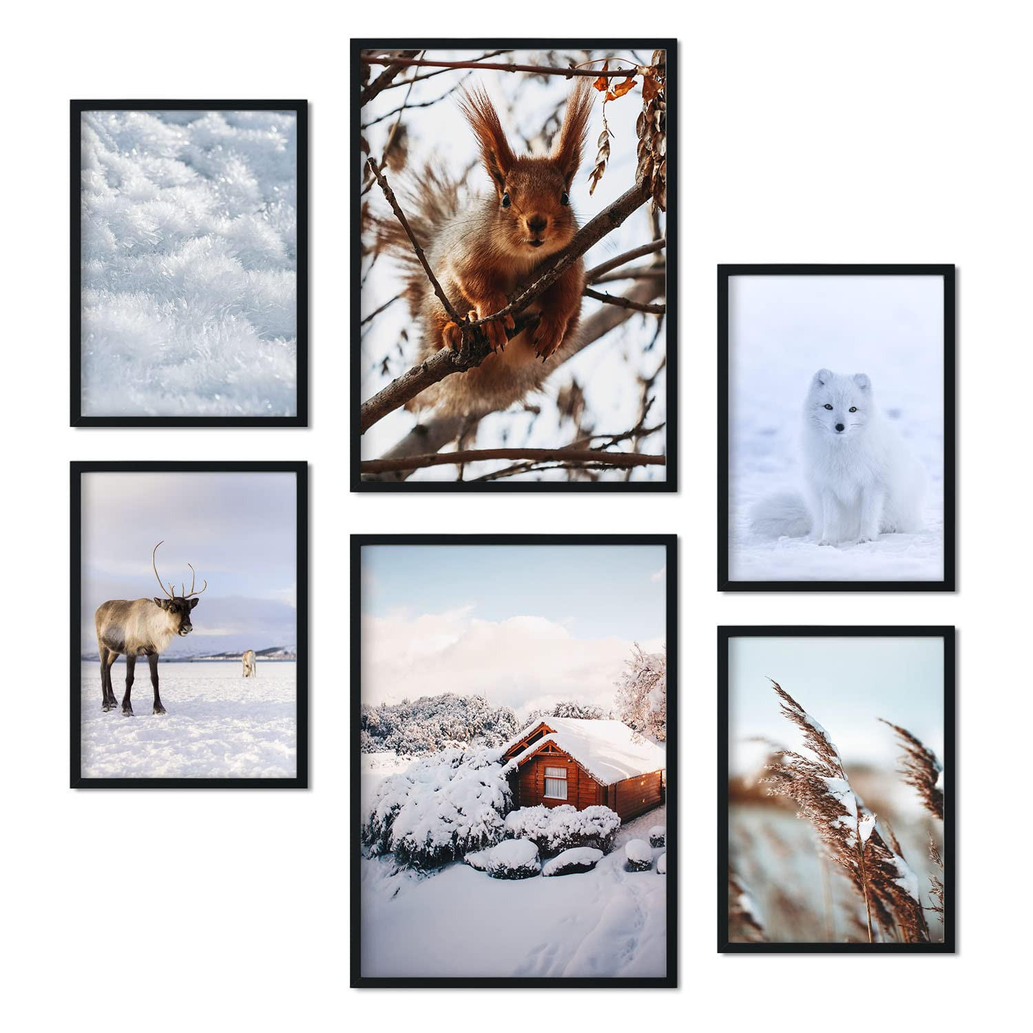POSTER Set Mit 6 Tiere Im Schnee A3 & A4 Rahmenlos - Klar, Papier (29/3cm) - Nacnic