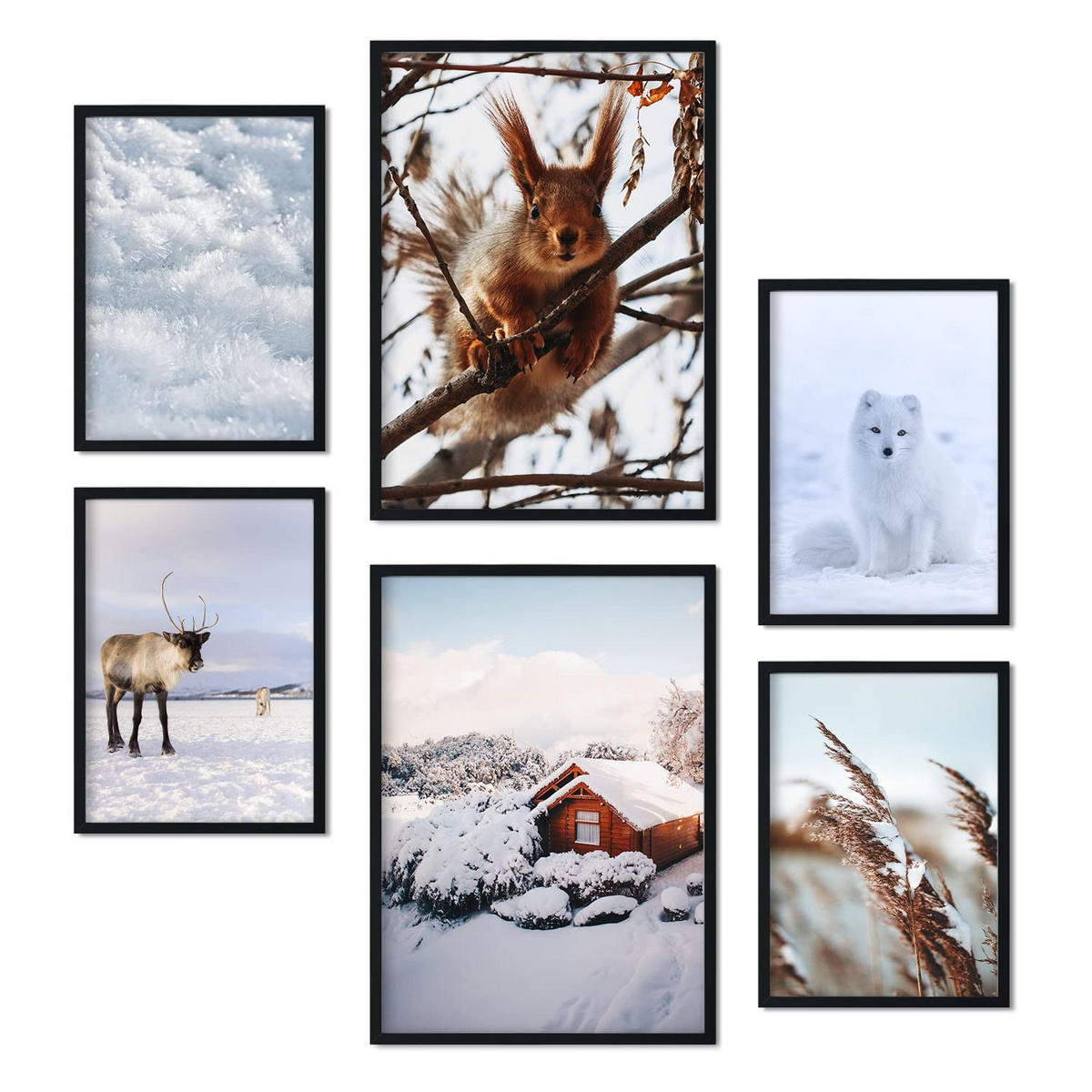 POSTER Set Mit 6 Tiere Im Schnee A3 & A4 Rahmenlos - Klar, Papier (29/3cm) - Nacnic