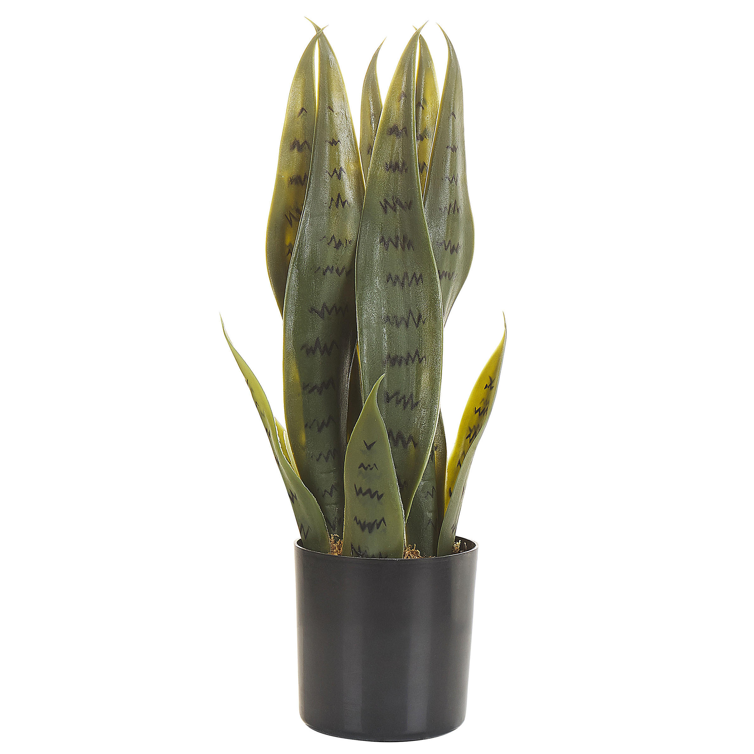 Beliani UMĚLÁ ROSTLINA v květináči 40 cm Zelená/Černá Snake Plant