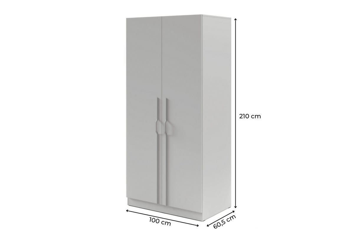 DREHTÜRENSCHRANK BRISSO BR3 100/210/60,5 cm in Platingrau mit Metallgriffen - Grau, Holzwerkstoff/Metall (100/210/61cm) - Deine Möbel 24