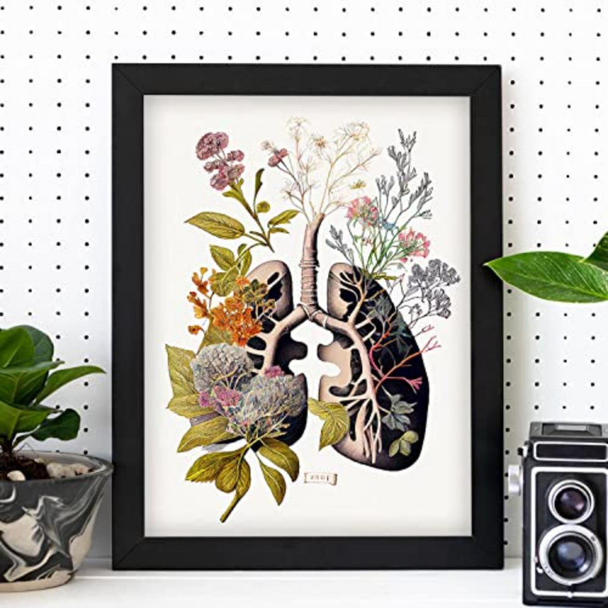 POSTER Set Mit 4 Anatomie Bronchien A3 Rahmenlos - Klar, Papier (29.7/3cm) - Nacnic