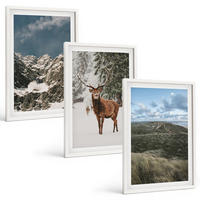 BILDER SET 3er Set - 40x60 cm Weißer Rahmen - Berge, Schnee, Hirsche, Waldlandschaft - Weiß, Kunststoff (40/60cm) - TULUP