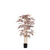 TOPF Bambus Bronze 152/90/152 cm - Bronzefarben, Kunststoff (152cm) - Light & Living