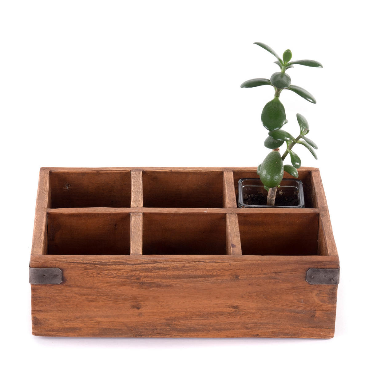 STIFTEHALTER-BOX Largo Mahagoni Recyclingholz massiv, 6 Fächer naturfarben - Naturfarben, Holz (22/33/10cm) - DESIGN DELIGHTS