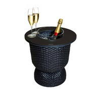 BEISTELLTISCH MIT ACRYL-KÜHLER Paris Schwarz 43 cm - Schwarz, Kunststoff (41/41/43cm) - COOTAB Cooler Table