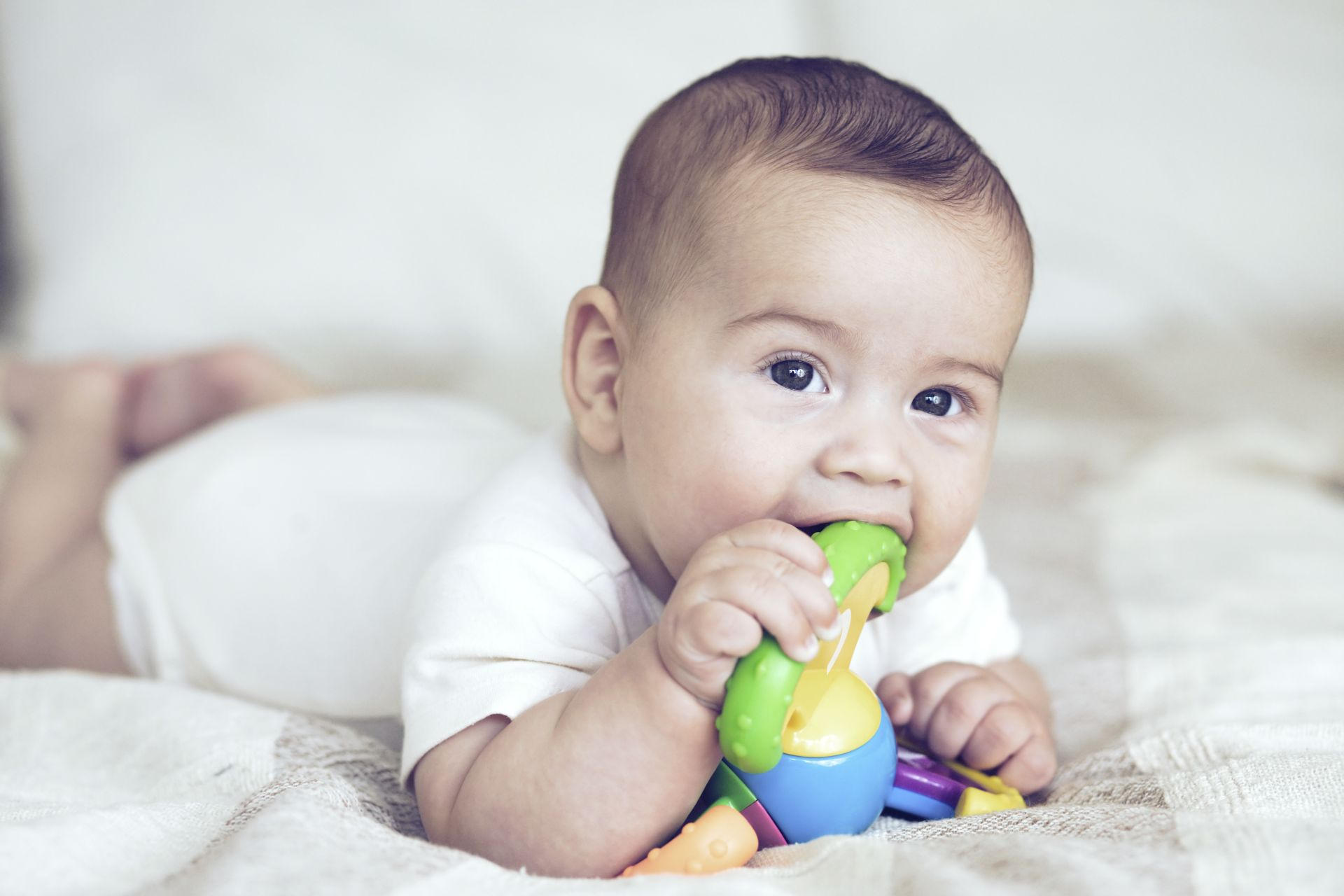 robna marka my baby Lou