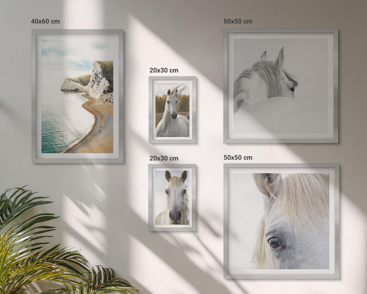 BILDER SET 5er Set - 50x50 cm & 20x30 cm & 40x60 cm Silberner Rahmen - Kontrastierende abstrakte Porträts - Silberfarben, Kunststoff (40/60cm) - TULUP