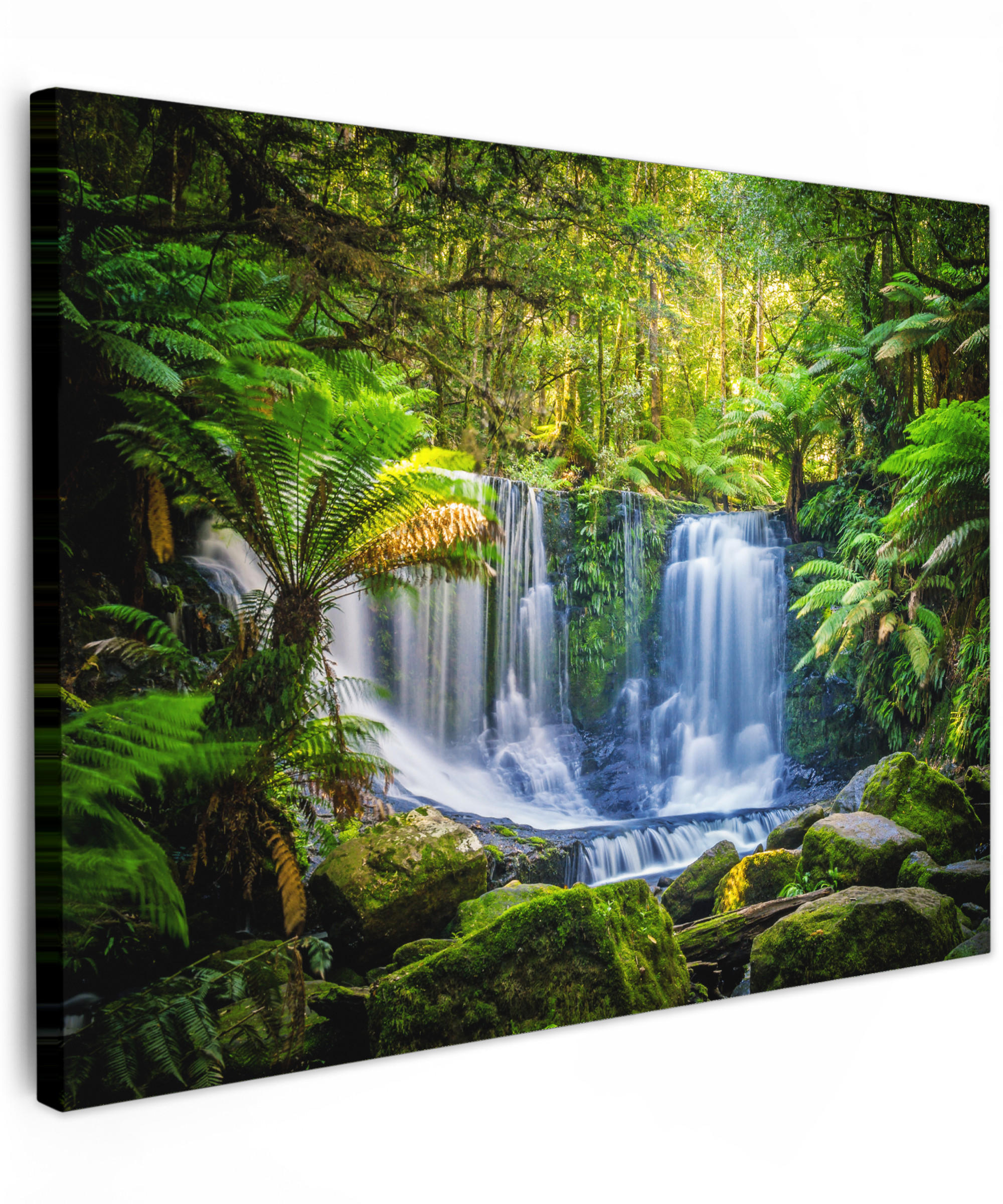 LEINWANDBILD Dschungel - Wasserfall - Australien - Pflanzen - Natur Wandbilder 80x60 cm - Dunkelgrün, Textil (80/60cm) - MuchoWow