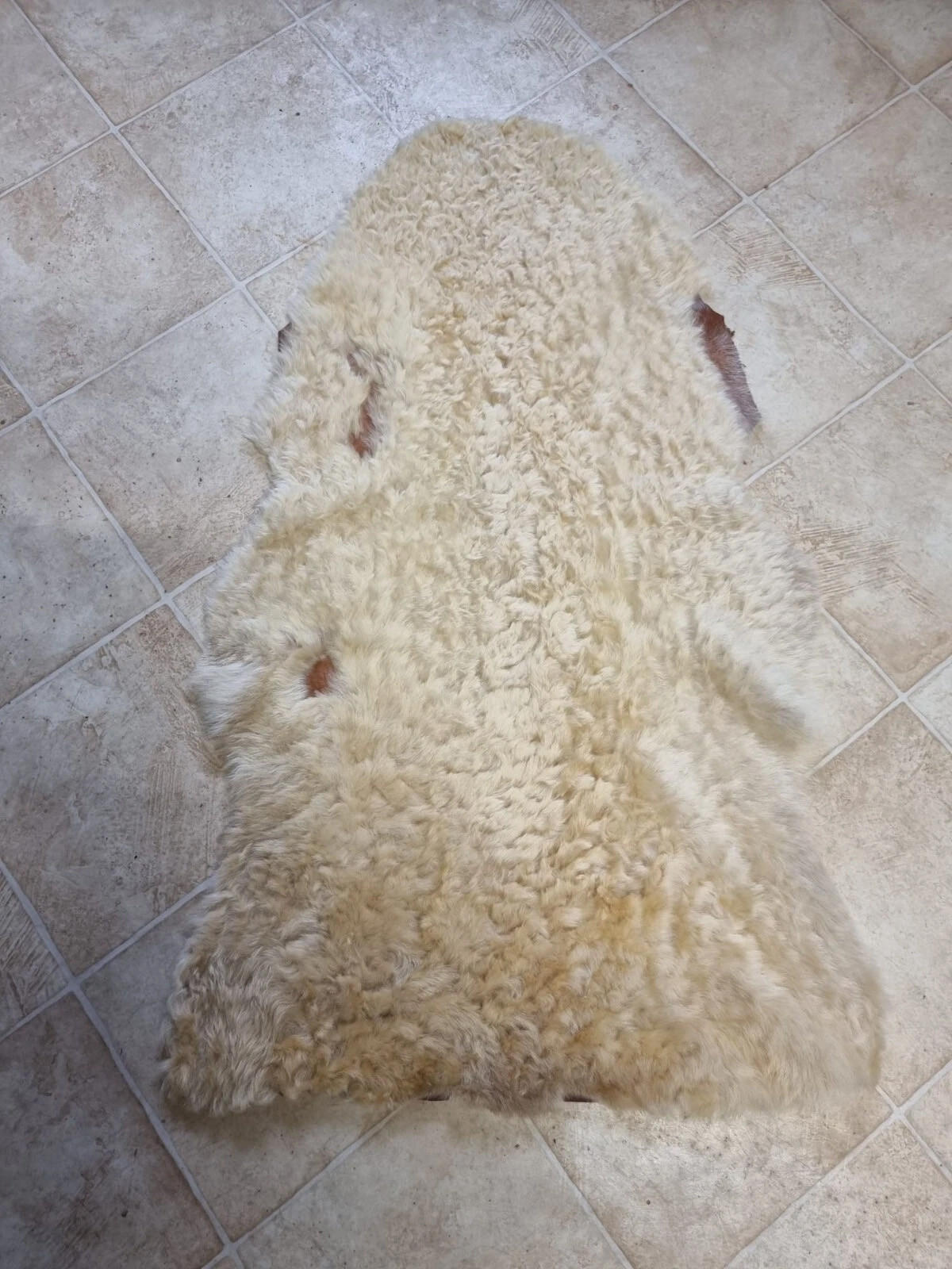 SCHAFFELL Lammfell 2. Wahl Hell geschoren ca. 95 cm - Beige/Creme, Fell (50/95cm) - Provellus