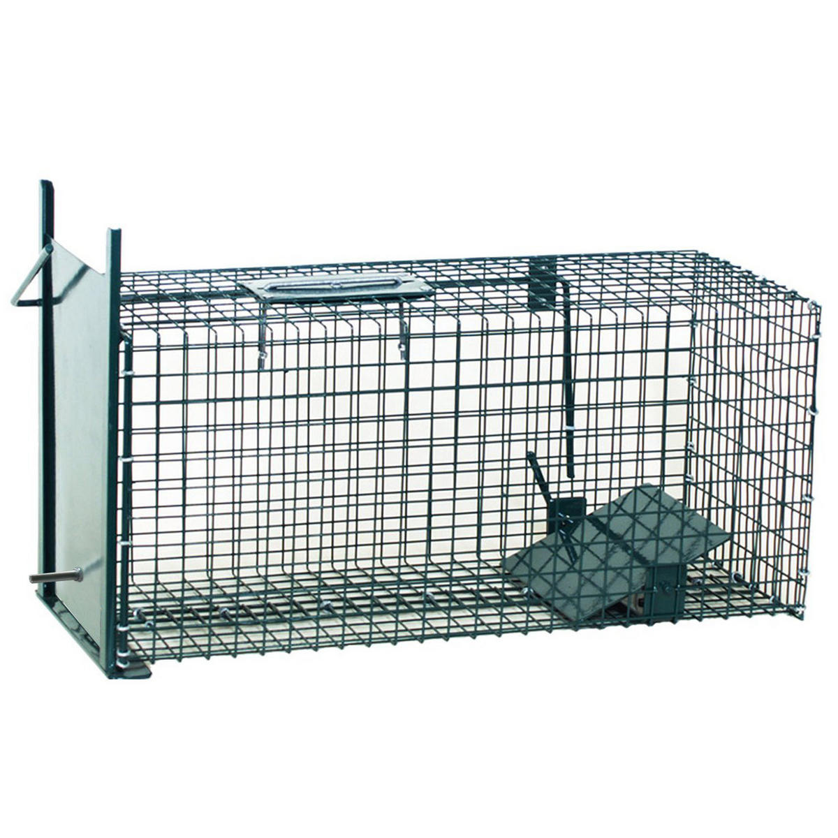 MOORLAND Safe 5001 – Lebendfalle 23 x 23 x 60 cm, grün, mit Handgriff - Grün, Holz (23/23/60cm) - Moorland