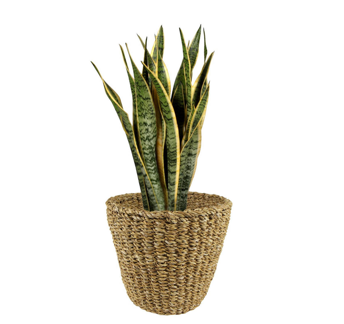 BLUMENTOPF Jip Natur Hellbraun L 30x25cm - Naturfarben, Naturmaterialien (30/25cm) - Green boutiQ